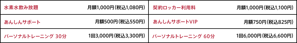 オプション料金