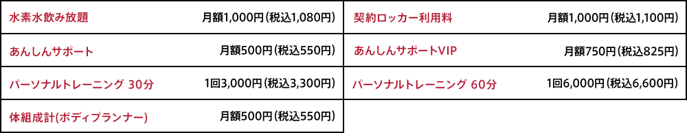 オプション料金