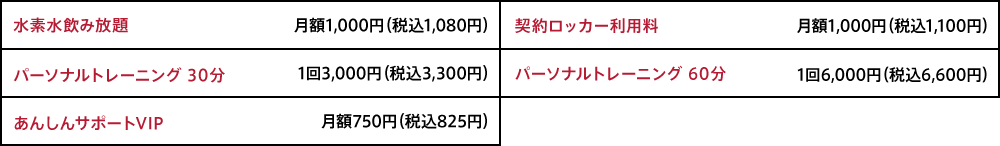 オプション料金