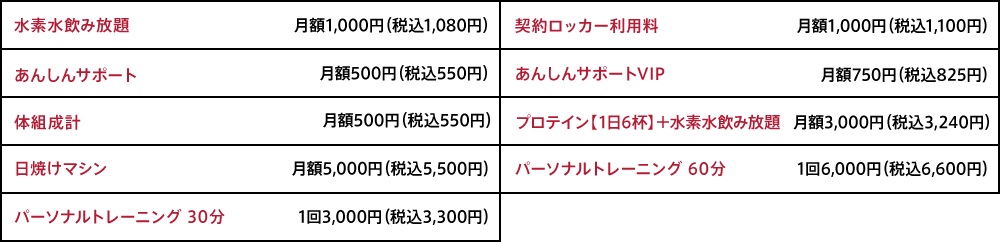 オプション料金