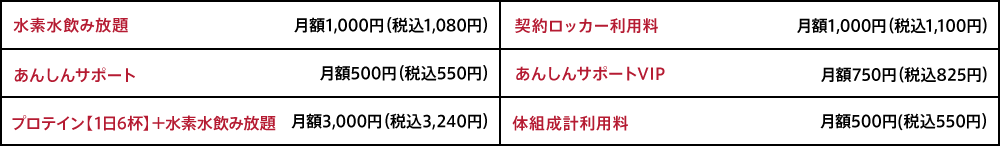 オプション料金
