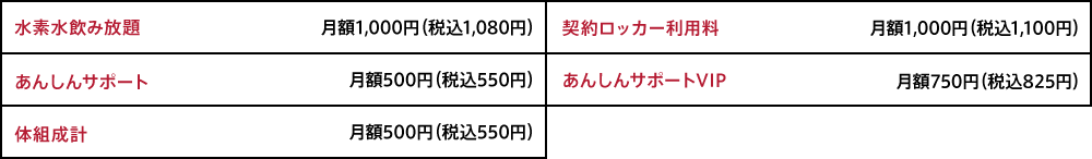 オプション料金