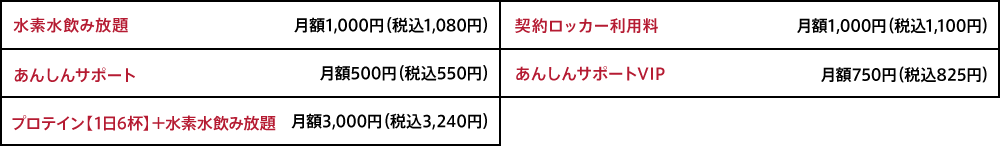 オプション料金