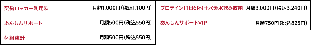 オプション料金