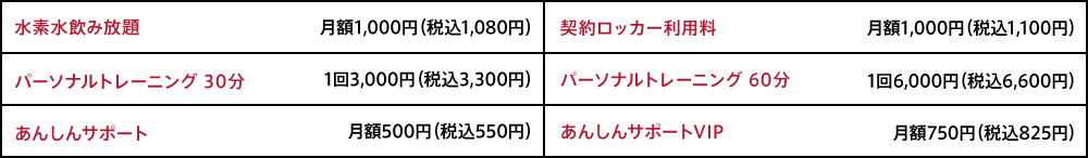 オプション料金