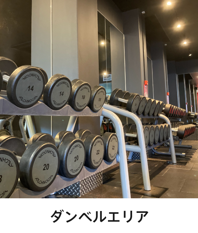 ダンベルエリア