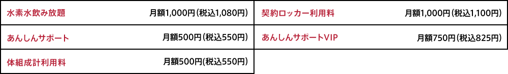 オプション料金