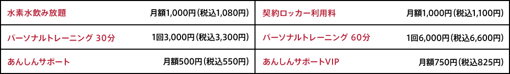 オプション料金