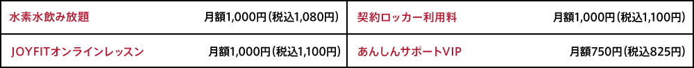 オプション料金