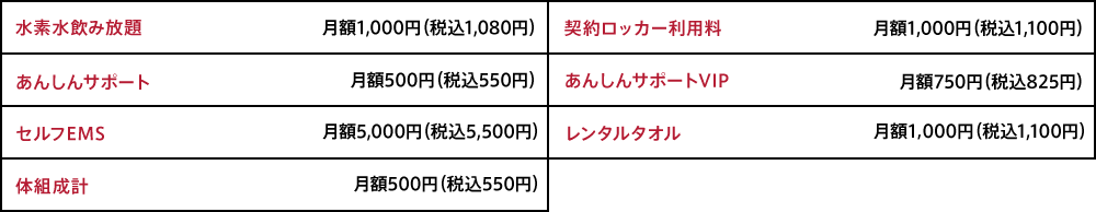 オプション料金