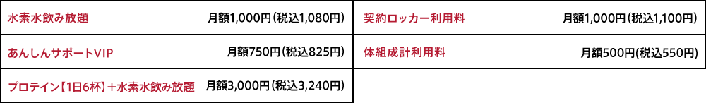 オプション料金
