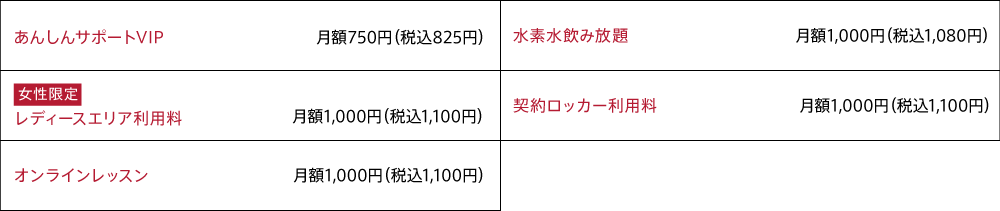 オプション料金