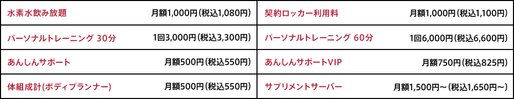 オプション料金
